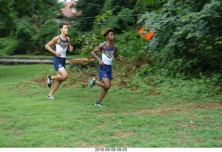 Curtis Arboretum - Cheltenham XC alumni race