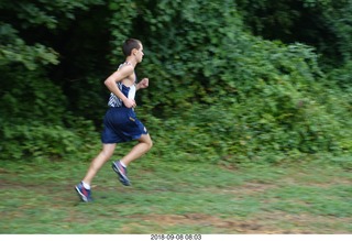 Curtis Arboretum - Cheltenham XC alumni race