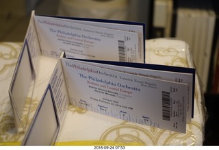 Cheltenham High School - panther