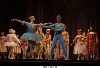 Arizona Ballet - Sleeping Beauty