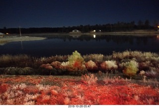 full moon