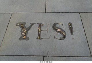 Princeton University - YES! brick