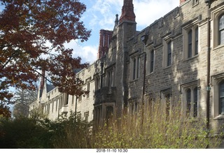 Princeton University