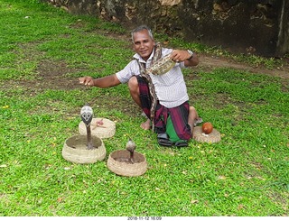 cat picture (not feline)