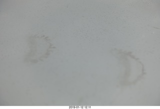 Eagle Roost fly-in - strange prints on the wing