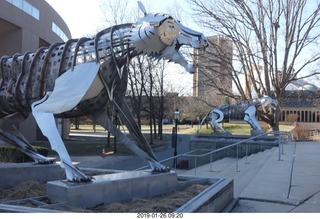 Princeton University - new stadium