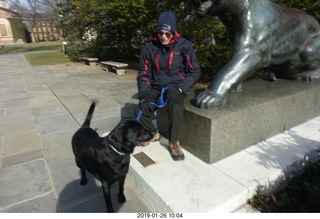 Princeton University - new skeleton tigers