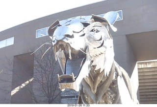 Princeton University - skeleton tiger