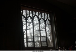 Princeton University - skeleton tiger