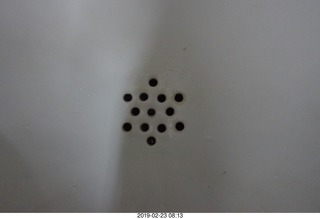 Princeton Alumni Day - urinal jewish star