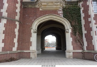 Princeton Alumni Day