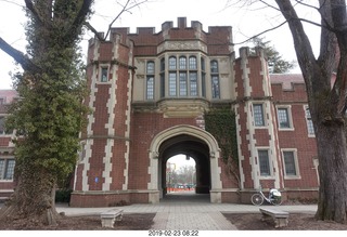 Princeton Alumni Day