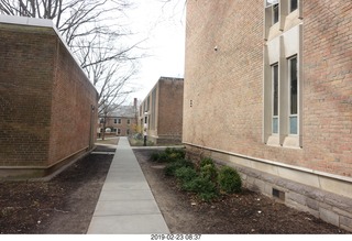 Princeton Alumni Day