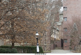 Princeton Alumni Day - urinal jewish star