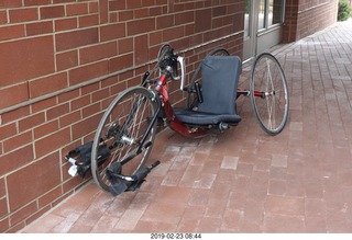 Princeton Alumni Day