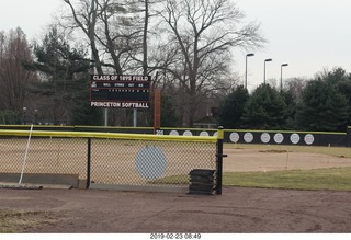 Princeton Alumni Day - softball field