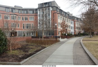 Princeton Alumni Day