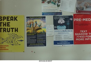 Princeton Alumni Day