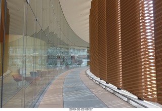 Princeton Alumni Day