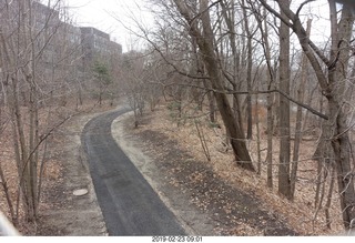 Princeton Alumni Day