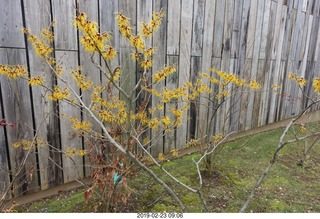 Princeton Alumni Day