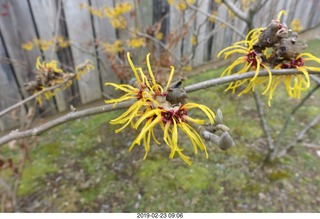 Princeton Alumni Day - greek doorway