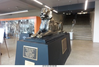 Princeton Alumni Day - Jadwin Gym tiger