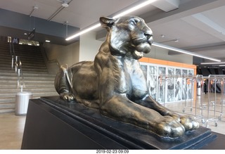 Princeton Alumni Day - Jadwin Gym tiger