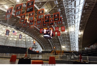 Princeton Alumni Day signs