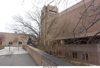 Princeton Alumni Day