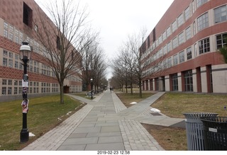 Princeton Alumni Day