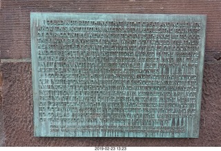 Princeton Alumni Day - lion