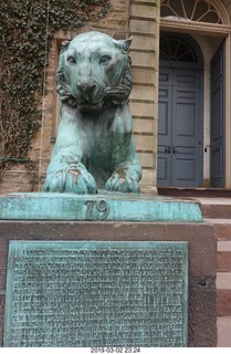 Princeton Alumni Day - lion