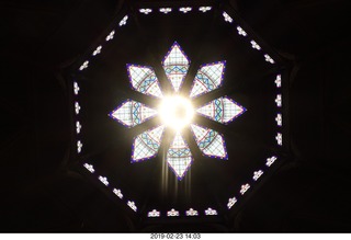 Princeton Alumni Day - tiger