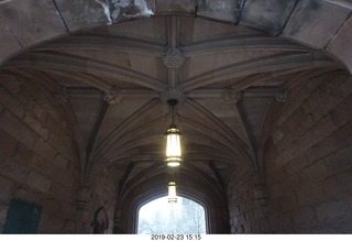 Princeton Alumni Day