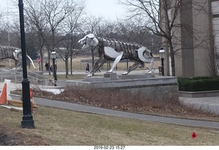 Princeton Alumni Day - skeleton tigers