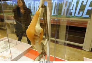 Philadelphia - The Franklin Institute Science Museum - knee exhibit
