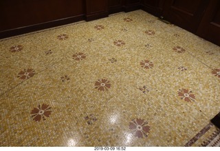 my still-carpeted stairs and my kittens