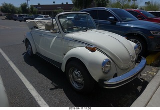beautiful old Volkswagon beetle
