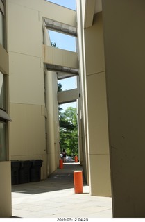 Princeton University - PJ's pancake house cups