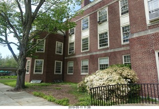 Princeton University - Art Museum - mosaic