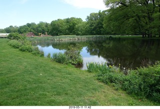 Princeton - Institute for Advanced Study (IAS) pond