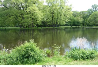 Princeton - Institute for Advanced Study (IAS) pond