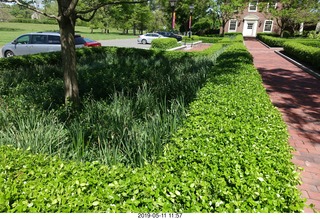Princeton - Institute for Advanced Study (IAS) pond