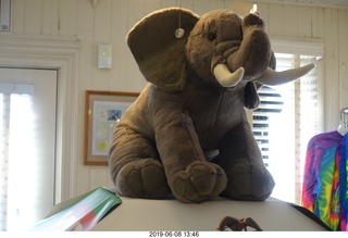 Margate - Norm Palley 85th birthday party - Lucy the Elephant