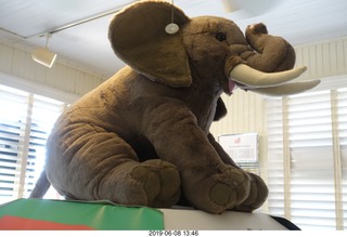 Margate - Norm Palley 85th birthday party