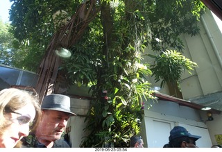 28 a0e. - Rio de Janeiro tour - Corcovado Mountain - Jesus Christ the Redeemer statue