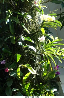 33 a0e. - Rio de Janeiro tour - Corcovado Mountain - Jesus Christ the Redeemer statue