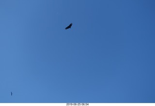 81 a0e. - Rio de Janeiro tour - Corcovado Mountain - Jesus Christ the Redeemer statue * - condors