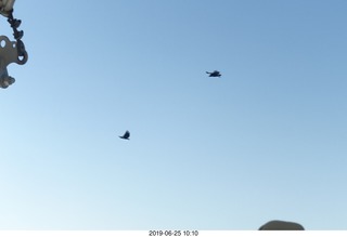 176 a0e. - Rio de Janeiro tour - Sugarloaf Mountain * - condors